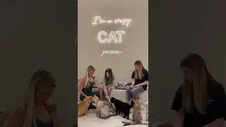 Кото кафе в Дубае 👵🏻🐈&zwj;⬛ #travel #vlog #путешествия