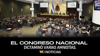 El Congreso Nacional dictaminó varias amnistías.