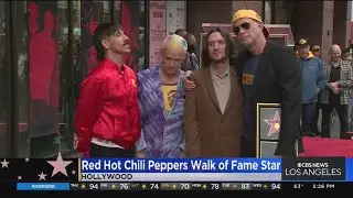 Red Hot Chili Peppers receive star on Hollywood Walk of Fame