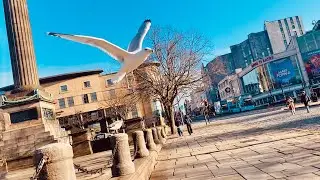 LIVERPOOL DOCKS Fish Egyptian-Mummy Space-Rockets BILLY FURY & The Beatles Strawberry Fields Forever