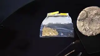 Taking Grain Samples