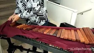 Xylophone - How to Assemble the Adams XSHV-35, 3.5Octave RSWD xylophone