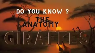 The Remarkable Heart of a Giraffe: Adapting to Life at Great Heights... #youtube