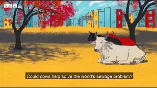 ECOSTP BBC Video