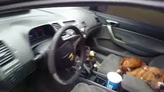 Live HURRICANE IRMA DAMAGE SEPT 10TH TAMPA FLORIDA Heading Pre storm Part 1