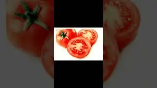 Video essay for english