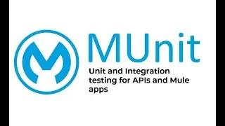 Munit Testing in Mule4 Flow Level and API Kit Router Level . 100% Code Coverage.