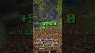 BEST Java/Bedrock Minecraft Server 🔎#minecraft #minecraftserver
