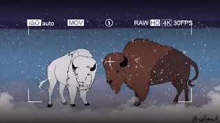 copyright free lofi bison beats