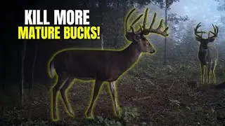 Top 5 Secrets To Kill Nocturnal Bucks!