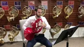 What Does a Plastic Horn Sound Like?