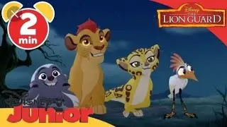 The Lion Guard