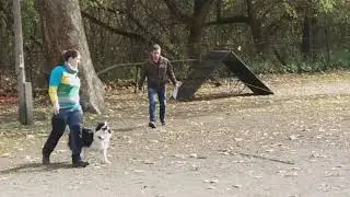 K99 - Ügyességi vizsga, 9-es szint (95/100 pont, nagyon jó minősítés)