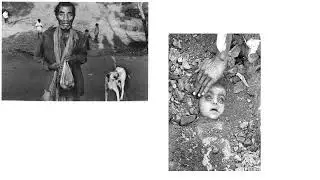 Bhopal Gas Tragedy - Know the Real reasons , Who is the Culprit?