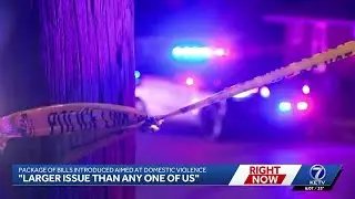 'Larger issue than any one of us': Package of bills introduced aimed at domestic violence