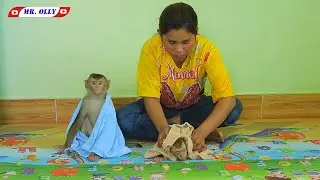 Miss. Luna And Mr. Olly Wearing Diaper And Clothes