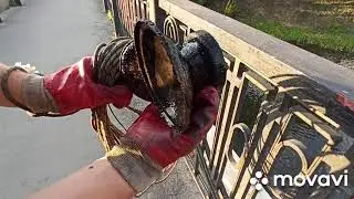 И снова КРИМИНАЛ в центре города!!!!! Рыбалка на поисковый магнит🧲