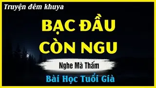 Nghe Để Mà Suy Ngẫm - BẠC ĐẦU CÒN NGU - Đọc Truyện Đêm Khuya