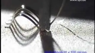 Ribbon Bonding