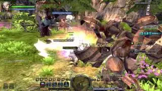 Me killing a boss in Dragon Nest EU