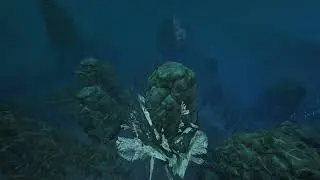 LURDU FIGHT ON CHELSY SURVIVAL