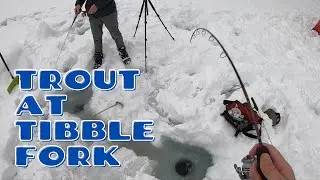 Tibble Fork Fishing Report: February 2021 (Utah Fishing Tips)