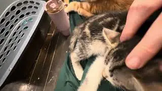 Is this the best lap?