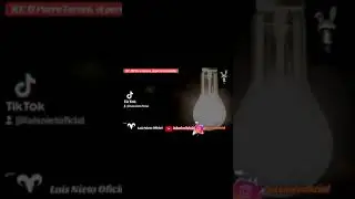 EL PERRO TURECO | EL PERRO DEL DIABLO |  #Relatosdeterror