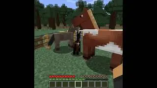 How To Make A Mule