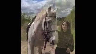 NIKITAS ELLENIS / ANIKSE TO PARATHIRO /&Alpha;&Nu;&Omicron;&Iota;&Xi;&Epsilon; &Tau;&Omicron; &Pi;&Alpha;&Rho;&Alpha;&Theta;&Upsilon;&Rho;&Omicron;