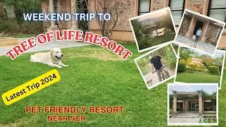 Tree Of Life Resort | Jaipur | Taj Hotels | Delhi NCR |#weekendtrip  #staycation #luxury