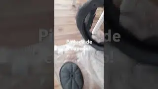 Pint&eacute; el chaperio del motor el porta sapito y los soportes del capot!