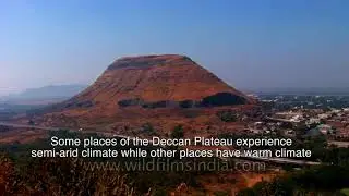 The Peninsular Plateau