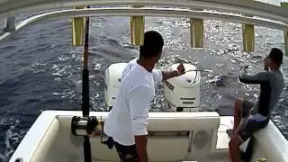 Fresh Catch of the Day