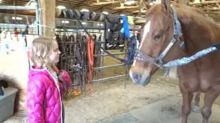 Eva First Horse Riding Lesson