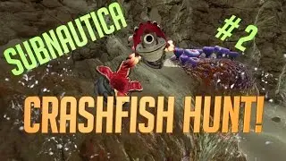 Gotta find Crashfish! Really!! &brvbar; Subnautica #2