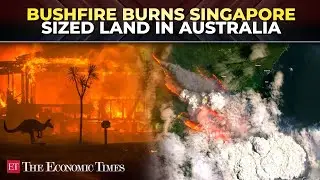Australia's bushfire burns area the &lsquo;size of Singapore&rsquo; as firefighters battle uncontrolled blaze