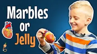 Doctor ask Kids about the HEART - Funny!