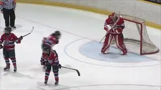 CWHL  -  November 28th 2015  -  Toronto Furies @ Les Canadiennes de Montr&eacute;al