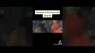el Chapulin Colorado/ Teca zapoteca 💀👻