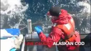 Line-caught Alaskan Cod