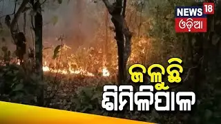 ଜଳୁଛି ଶିମିଳିପାଳ |Forest fires continue to rage in Similipal, 28 points doused | Odia News