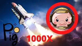 Become Crypto MILLIONAIRE, PIG Finance, 100000X potential The Future of Crypto Tokens is here, 1