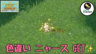 【ポケモンSV】Shiny Meowth GET✨ Meowth &rarr; Persian Evolve 🔥