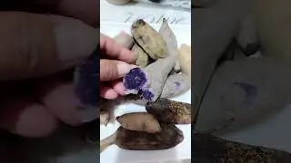 kamote NG LEYTE SAMAR MASARAP MATAMIS😋