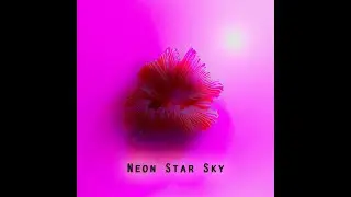 Neon Star Sky - Beyond All Wickedness (2022) OFFICIAL LYRICS VIDEO