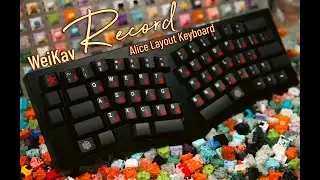 WeiKav RECORD Budget Aluminum Alice Keyboard first look