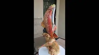 tiger trout