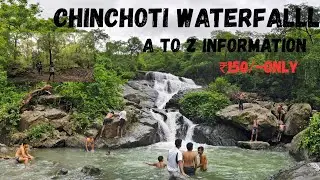 Chinchoti Water Fall Vasai ||Best Waterfall Near Mumbai at ₹150|| #waterfall #davinciresolve #fyp 