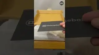 Tee-Hammo Unboxing | Melangebox
